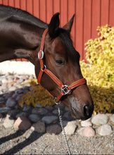 Load image into Gallery viewer, Leather Halter