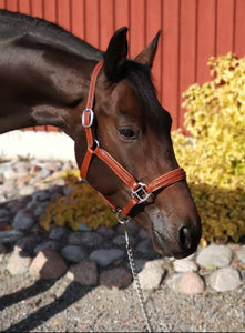 Leather Halter